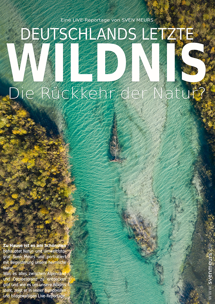 Plakatentwurf_DLW_4.0_klein.jpg